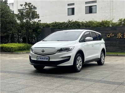Ruì Blue Cars 2024 Maple Leaf 80V80VL 515KM 7 Seat Lithium Lron